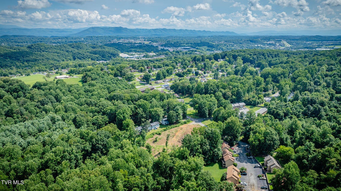Photo #7: Tbd Timberlake Road