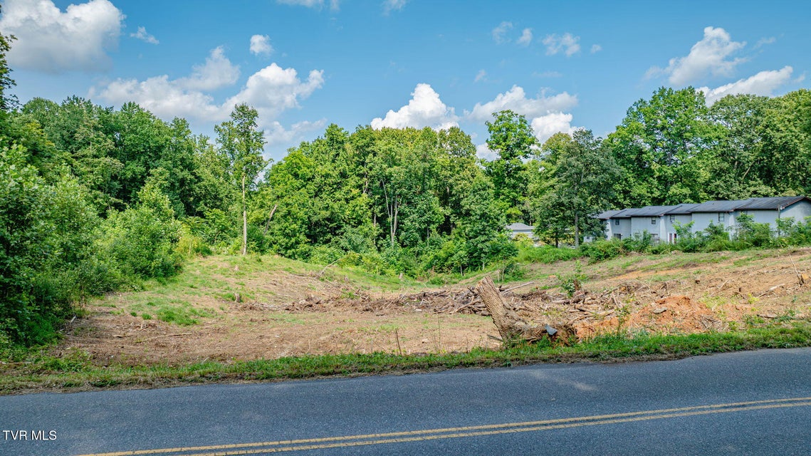 Photo #11: Tbd Timberlake Road