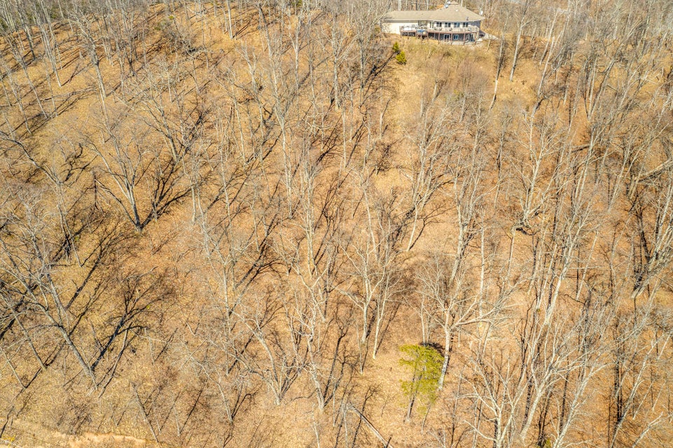 Photo #3: 1167 Keetoowah Drive