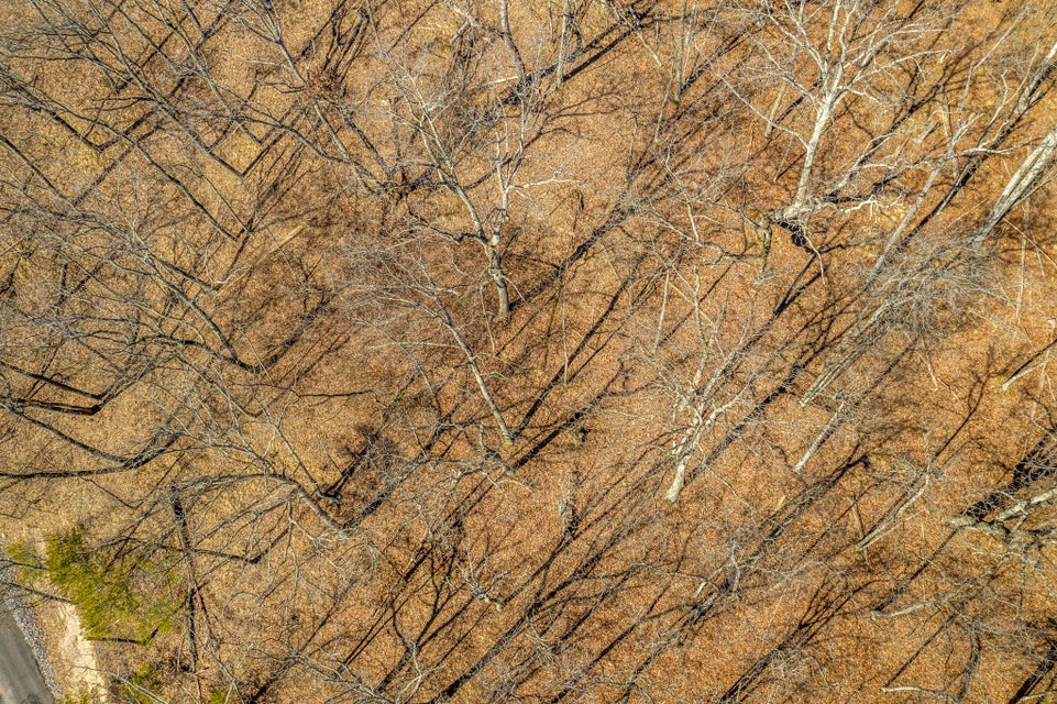 Photo #5: 1167 Keetoowah Drive