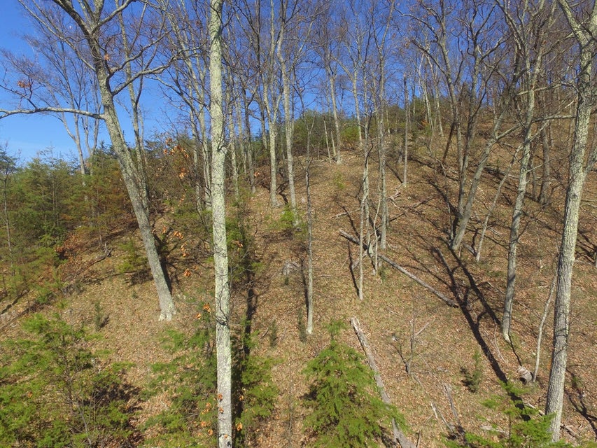 Photo #7: 1167 Keetoowah Drive