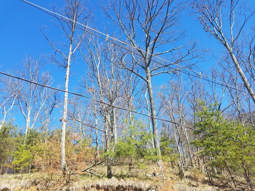 Photo #8: 1167 Keetoowah Drive
