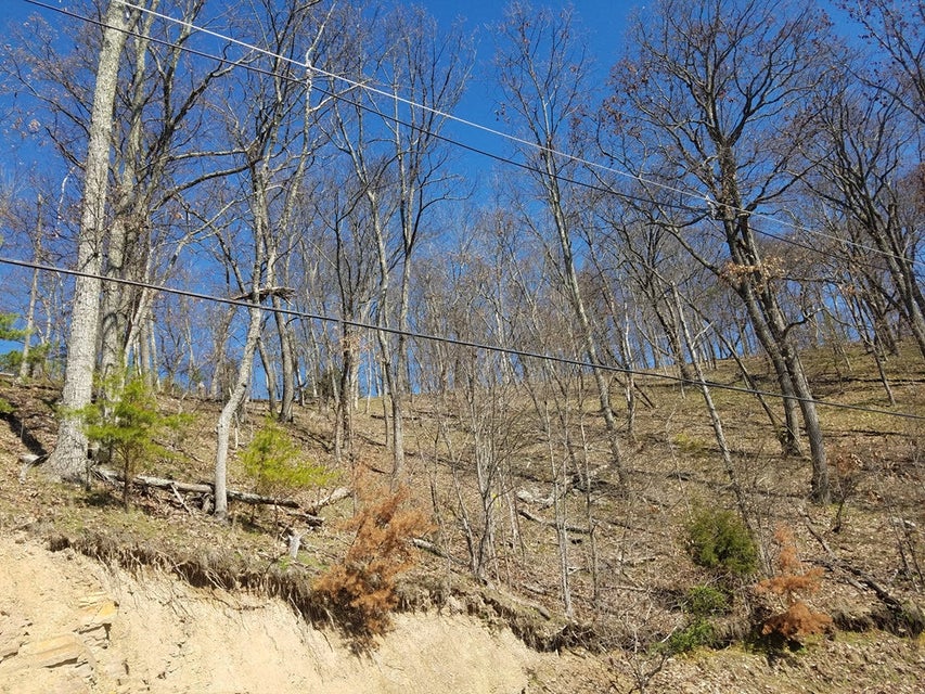 Photo #12: 1167 Keetoowah Drive