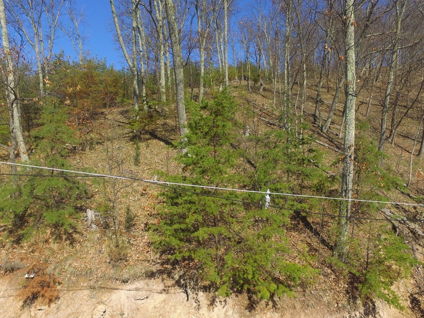 Photo #15: 1167 Keetoowah Drive