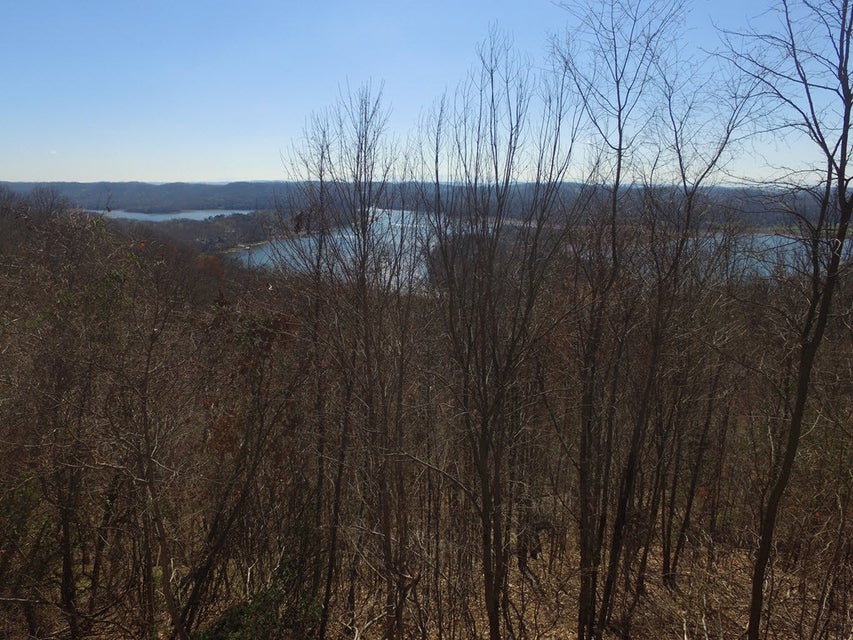 Photo #17: 1167 Keetoowah Drive