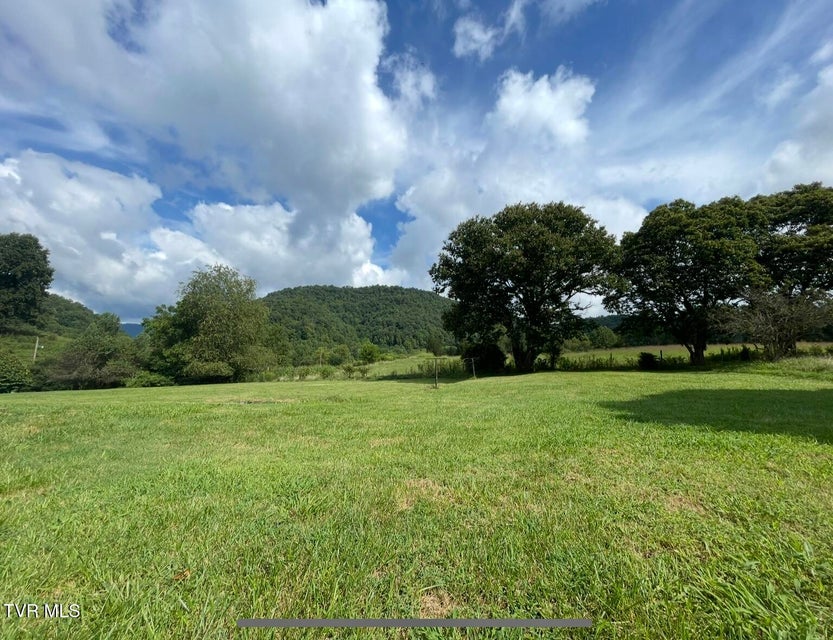 Photo #10: 111 Laura Bowers Road