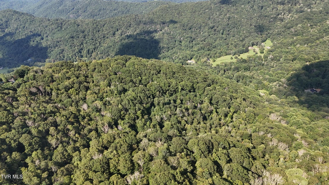 Photo #4: 11.26ac Log Cabin Lane