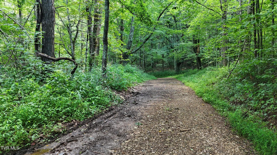 Photo #2: 11.26ac Log Cabin Lane