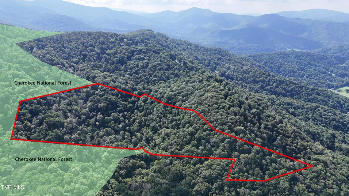 Photo #6: 11.26ac Log Cabin Lane