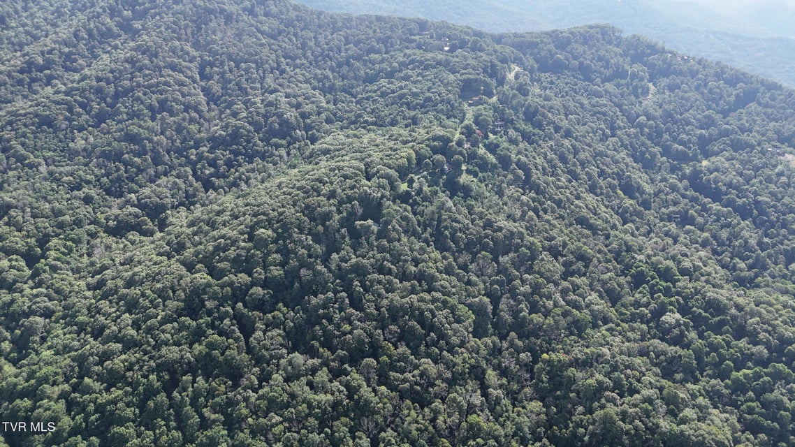 Photo #9: 11.26ac Log Cabin Lane