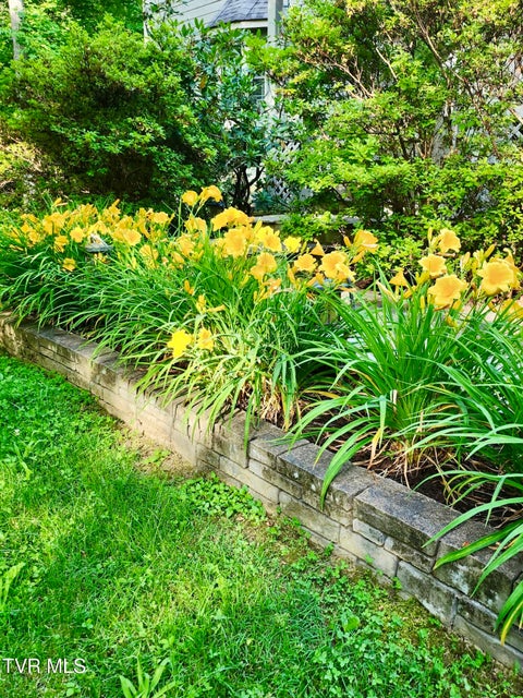 Photo #47: 150 Teague Lane