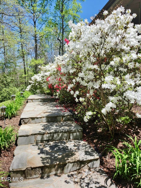 Photo #5: 150 Teague Lane