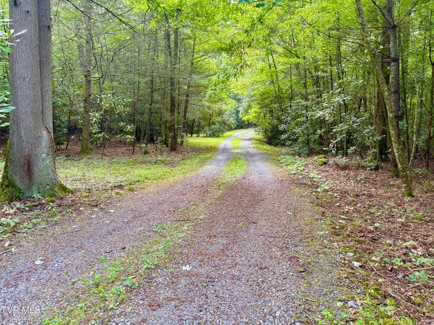 Photo #3: 150 Teague Lane