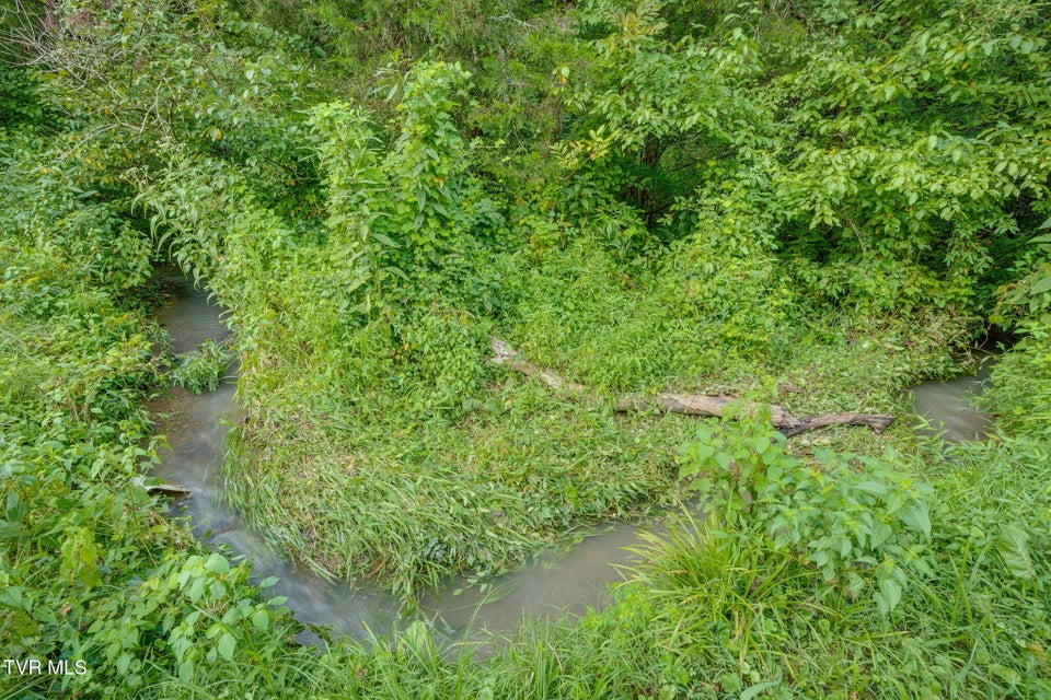 Photo #4: 1562 Mount Holston Road