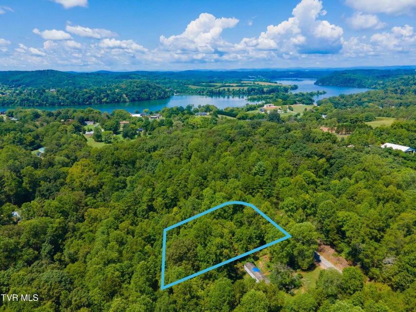 Photo #3: 224 Ledgerwood Lane Lane
