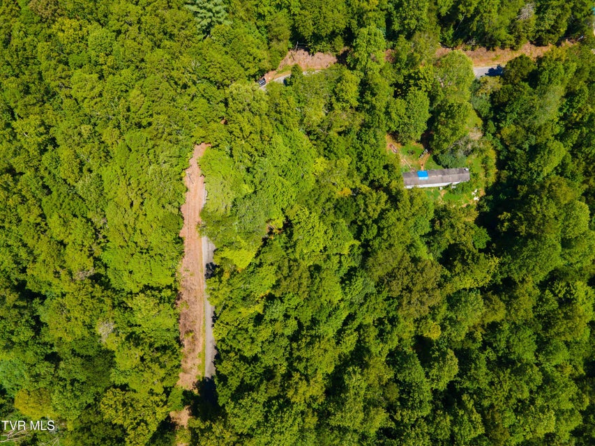 Photo #9: 224 Ledgerwood Lane Lane