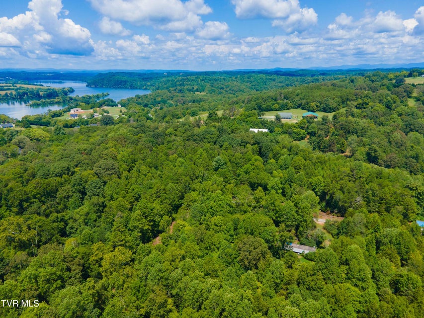 Photo #15: 224 Ledgerwood Lane Lane