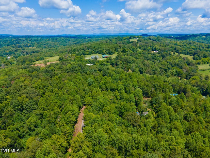 Photo #16: 224 Ledgerwood Lane Lane