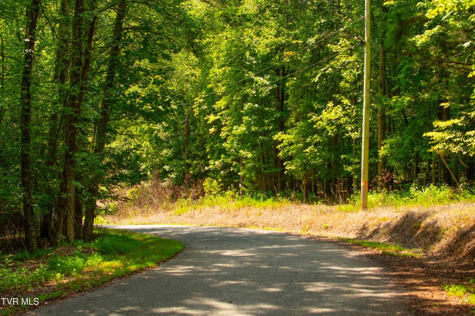Photo #21: 224 Ledgerwood Lane Lane