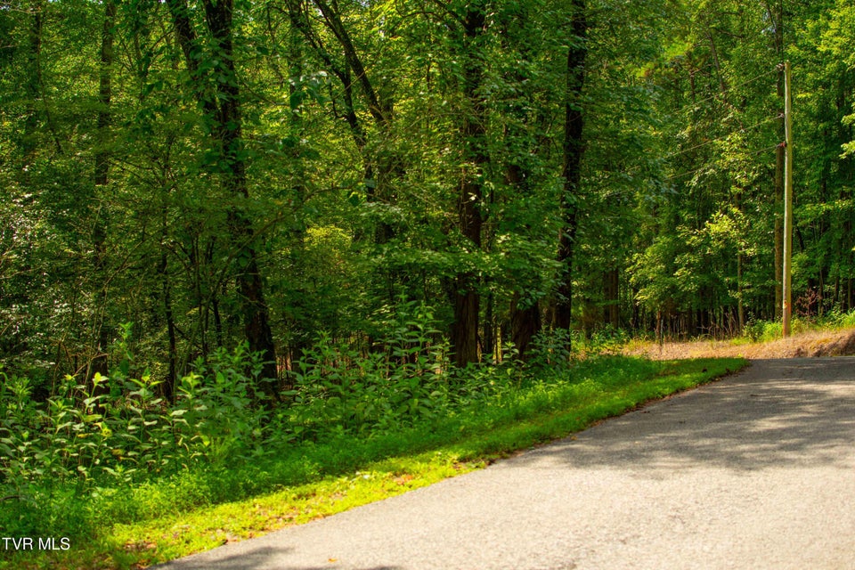 Photo #23: 224 Ledgerwood Lane Lane