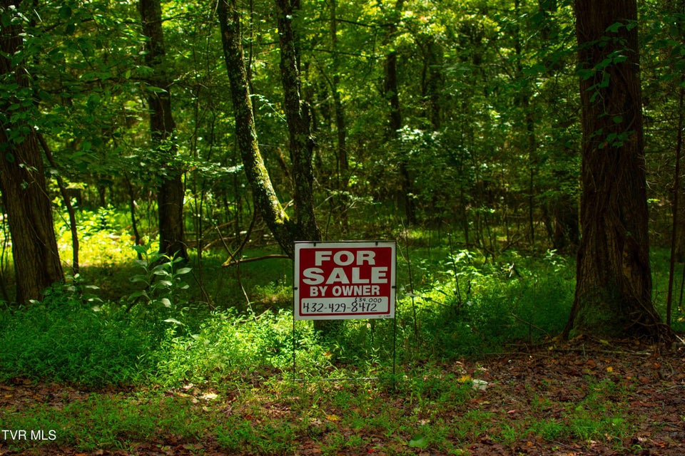 Photo #24: 224 Ledgerwood Lane Lane