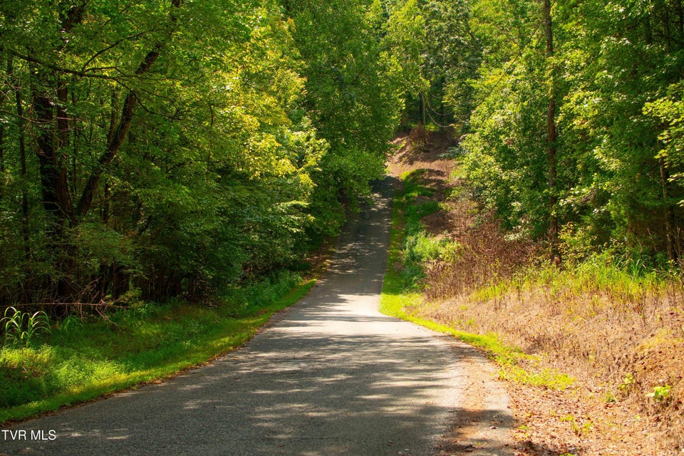 Photo #25: 224 Ledgerwood Lane Lane