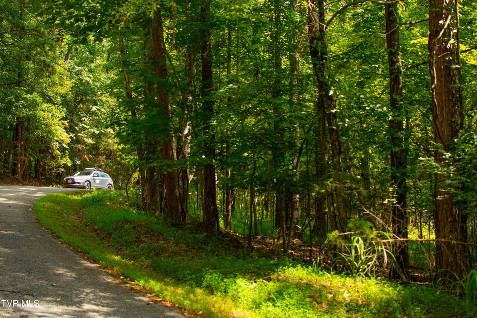 Photo #26: 224 Ledgerwood Lane Lane