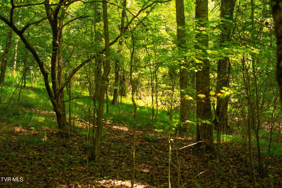 Photo #27: 224 Ledgerwood Lane Lane