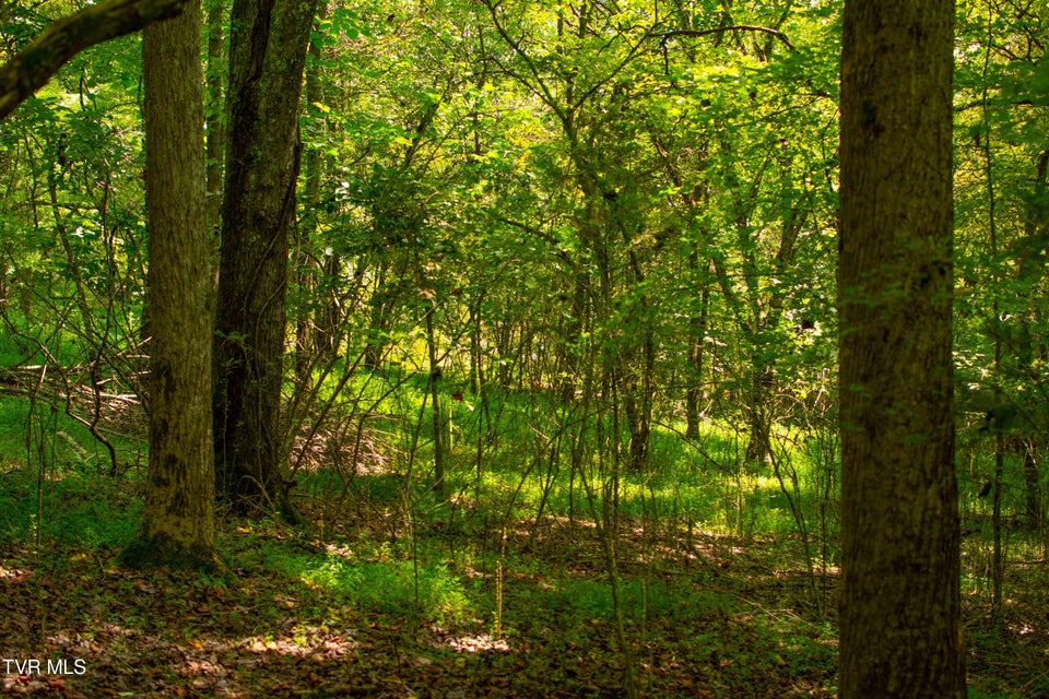 Photo #28: 224 Ledgerwood Lane Lane