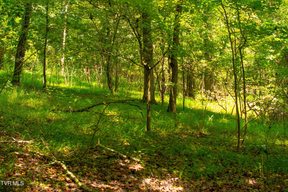 Photo #29: 224 Ledgerwood Lane Lane