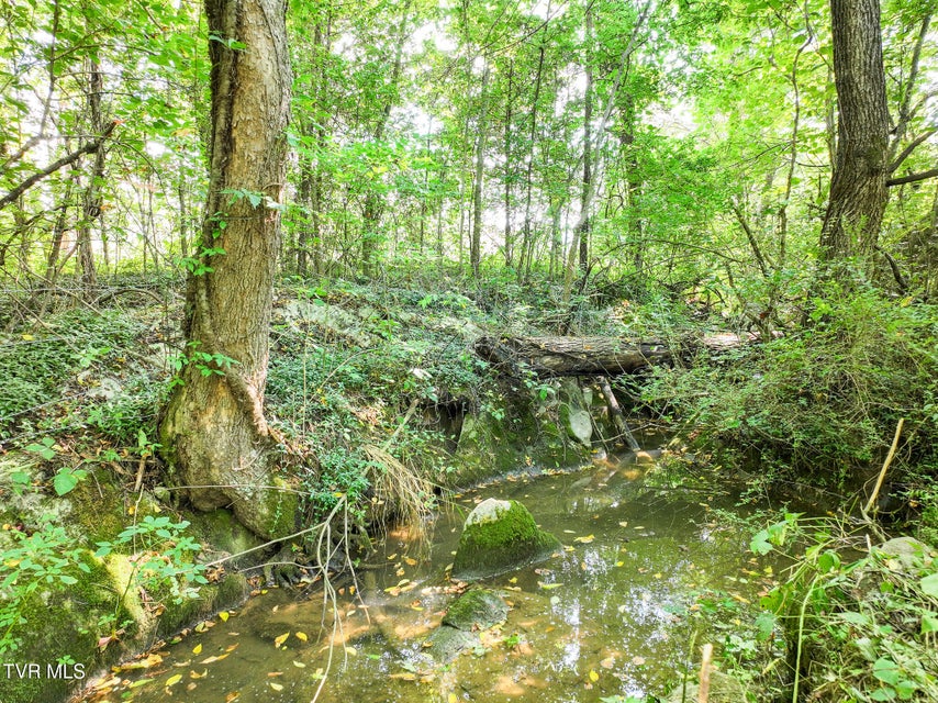 Photo #51: 665 Houston Valley Rd