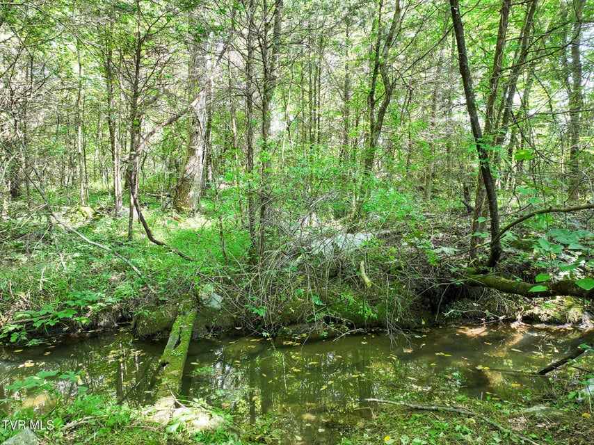 Photo #3: 665 Houston Valley Rd