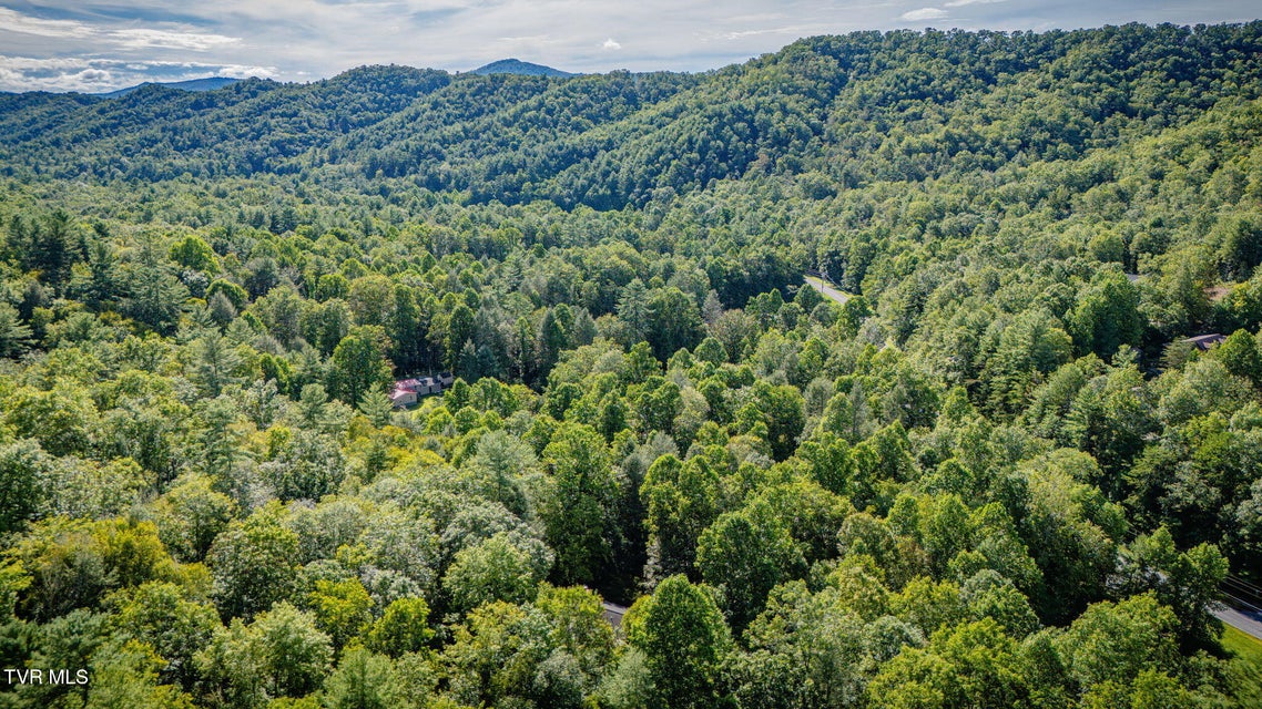 Photo #56: 150 Teague Lane