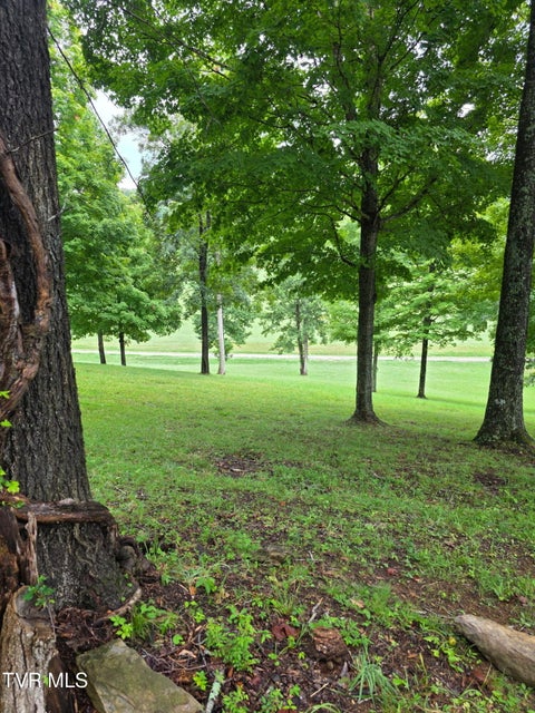 Photo #3: Lot 36 Summerfield Drive