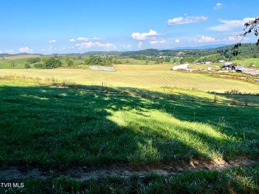 Photo #23: 14446 Black Hollow Road