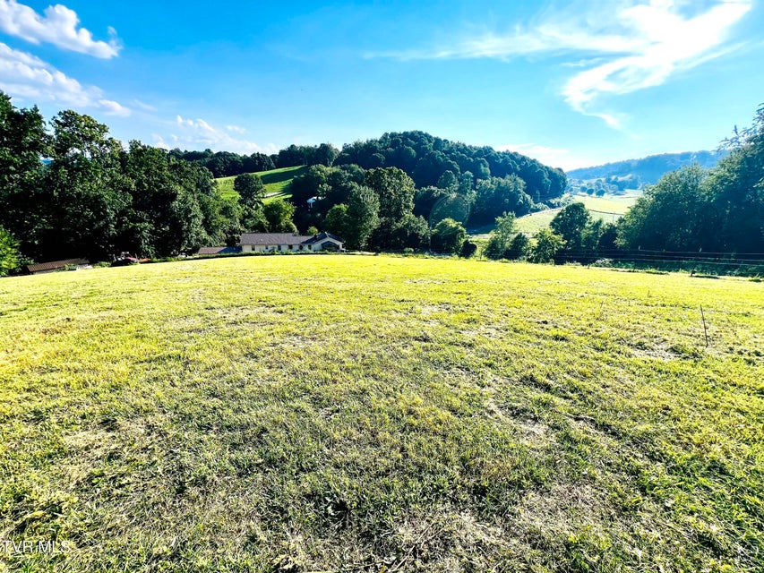 Photo #20: 14446 Black Hollow Road