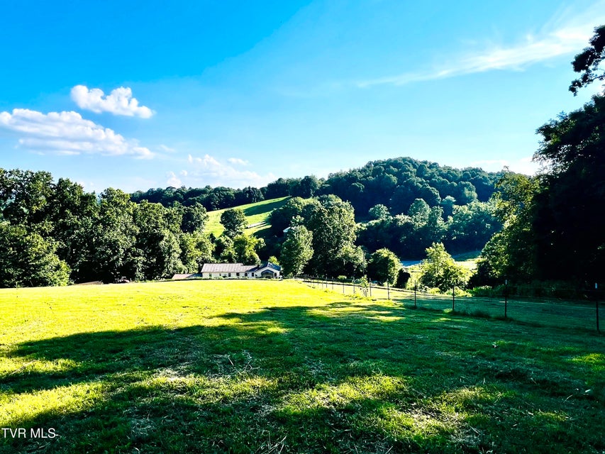 Photo #21: 14446 Black Hollow Road