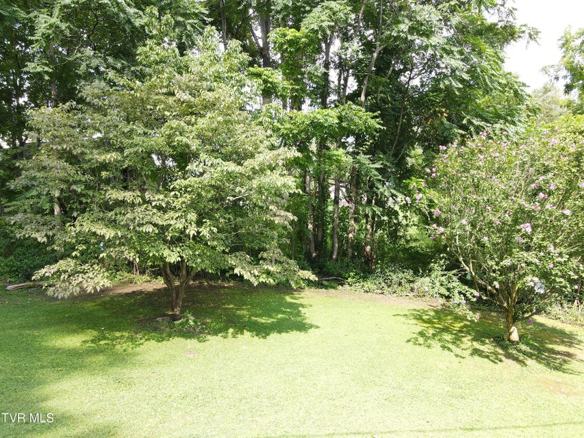 Photo #13: 1769 Irondale Road