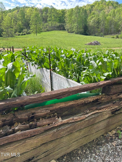 Photo #2: 1446 Brooks Road