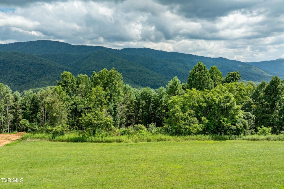 Photo #24: Lot 75 Summerfield Drive