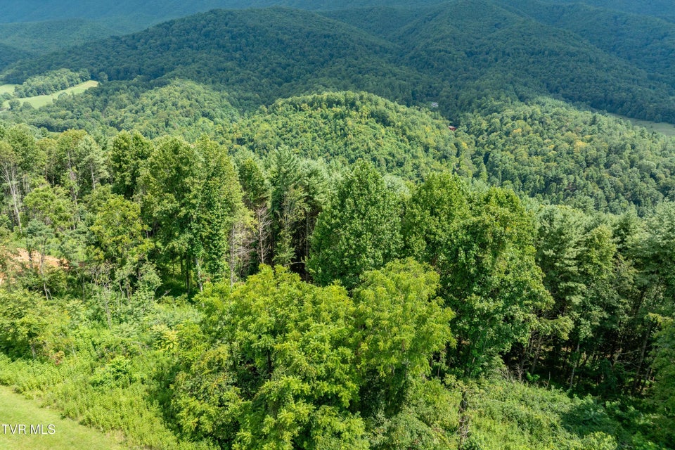 Photo #26: Lot 75 Summerfield Drive