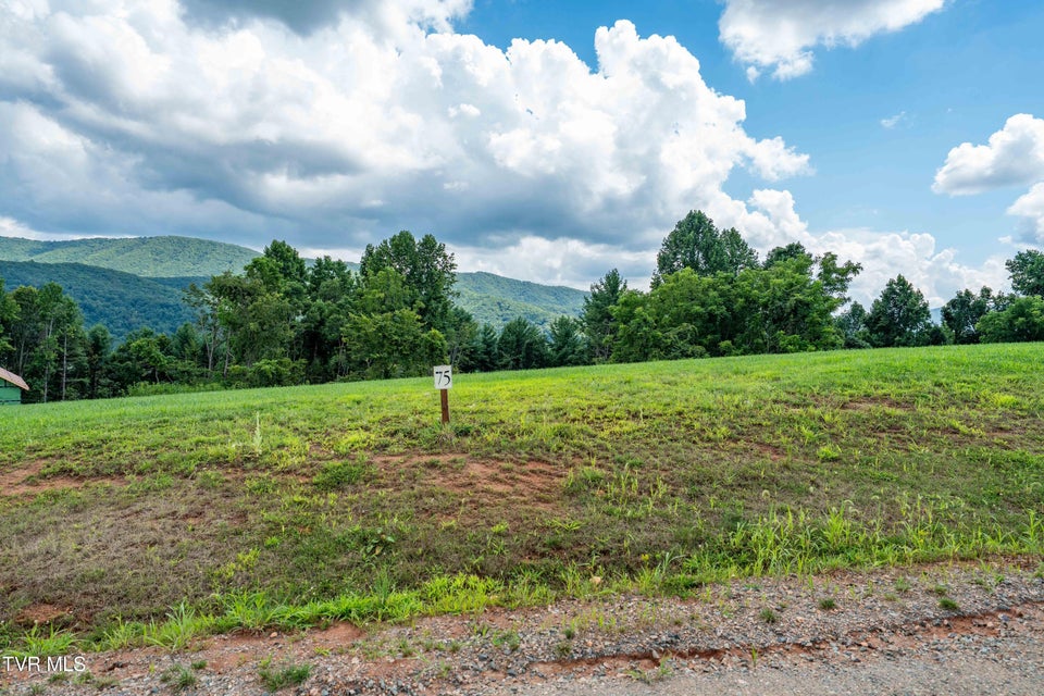 Photo #27: Lot 75 Summerfield Drive