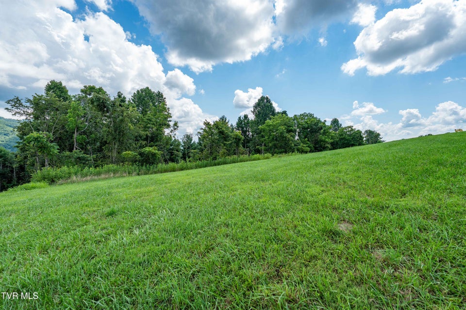 Photo #32: Lot 75 Summerfield Drive