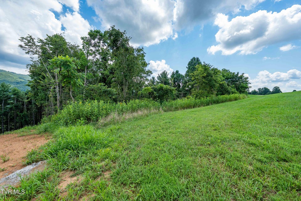 Photo #33: Lot 75 Summerfield Drive