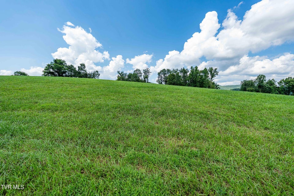 Photo #35: Lot 75 Summerfield Drive