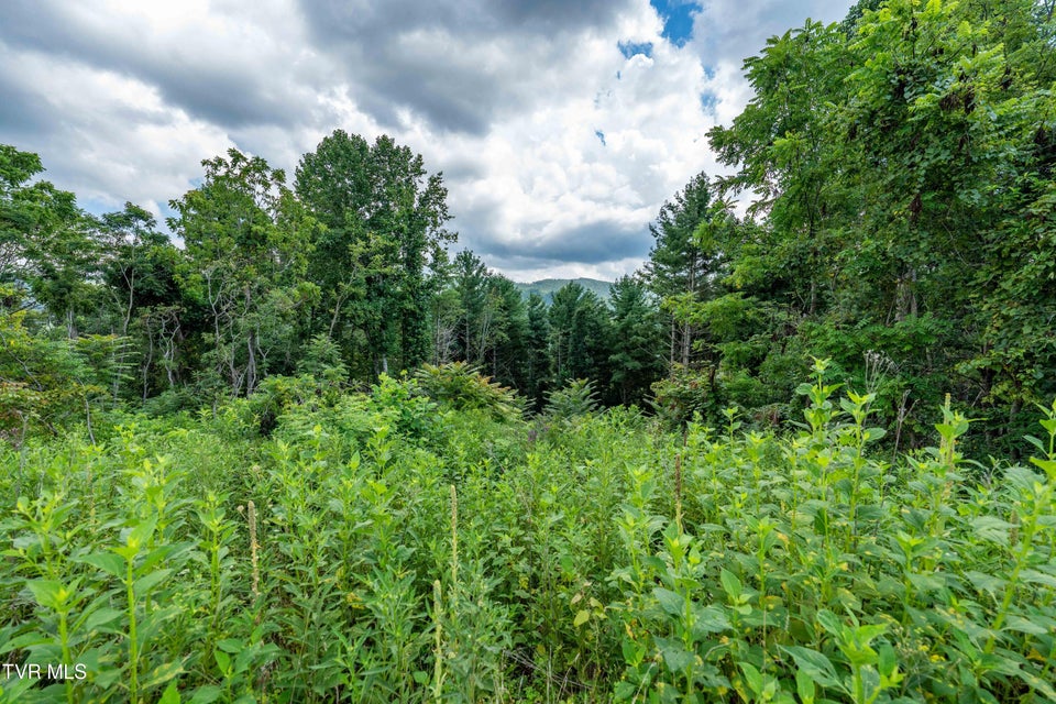 Photo #36: Lot 75 Summerfield Drive