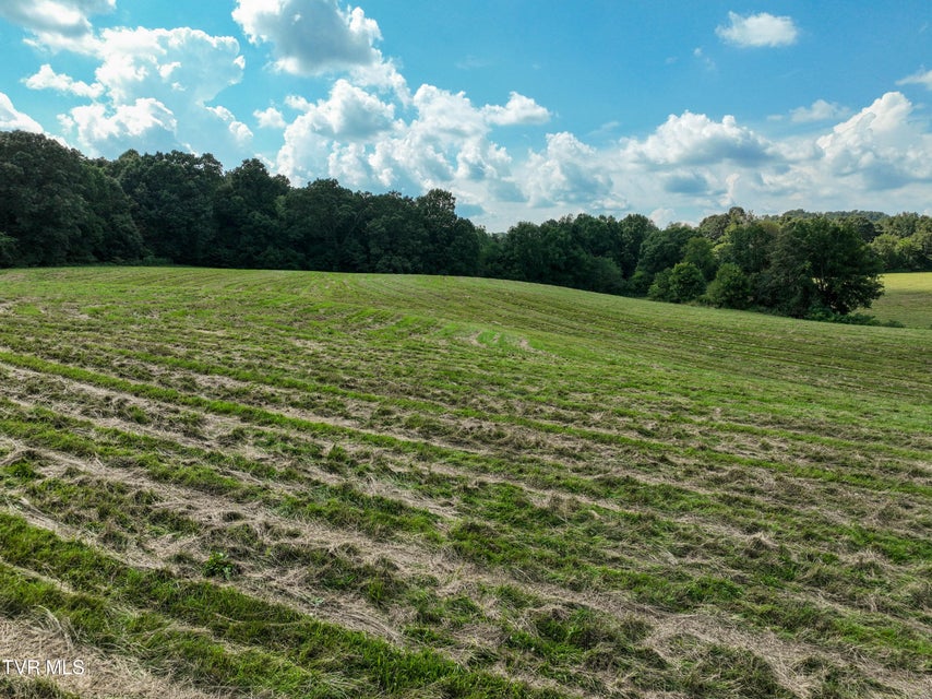 Photo #37: 3250 Old Ducktown Road