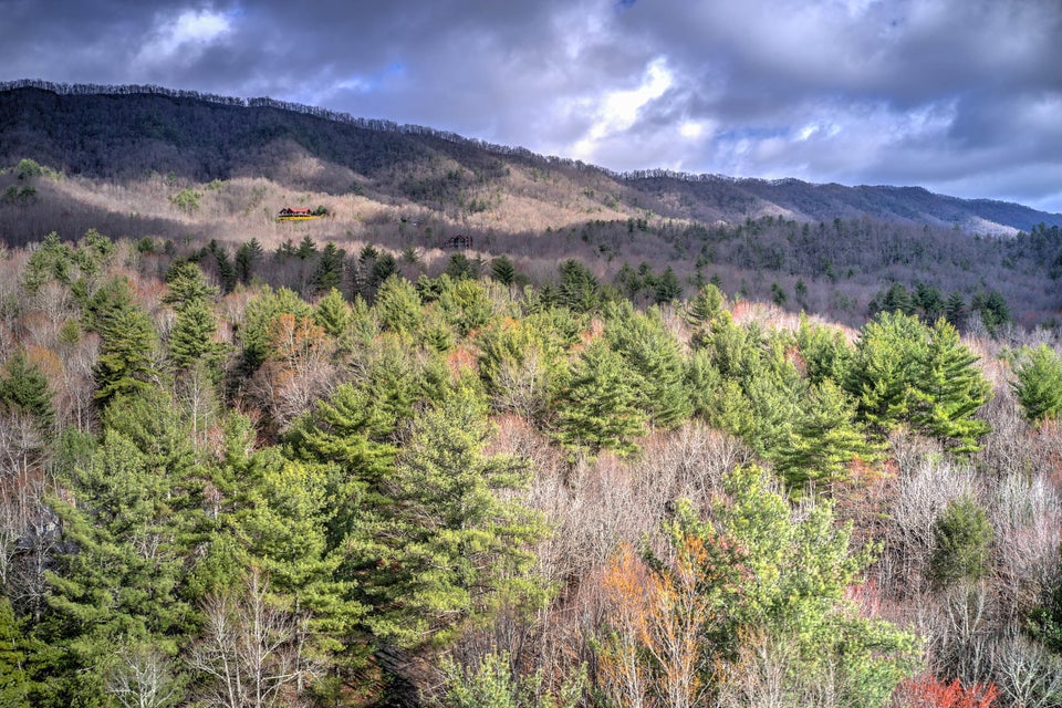 Photo #11: 109 Hemlock Drive