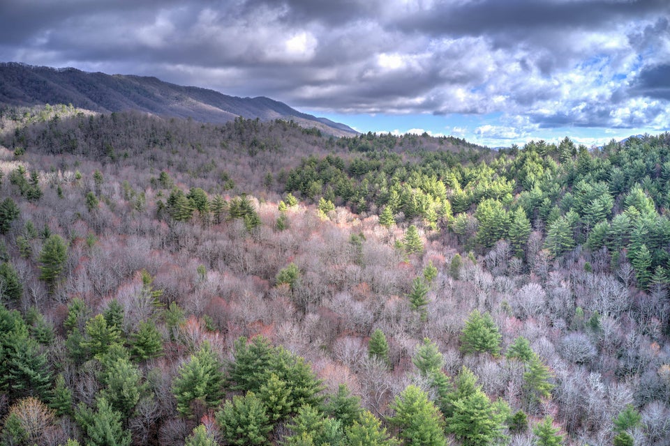 Photo #64: 109 Hemlock Drive