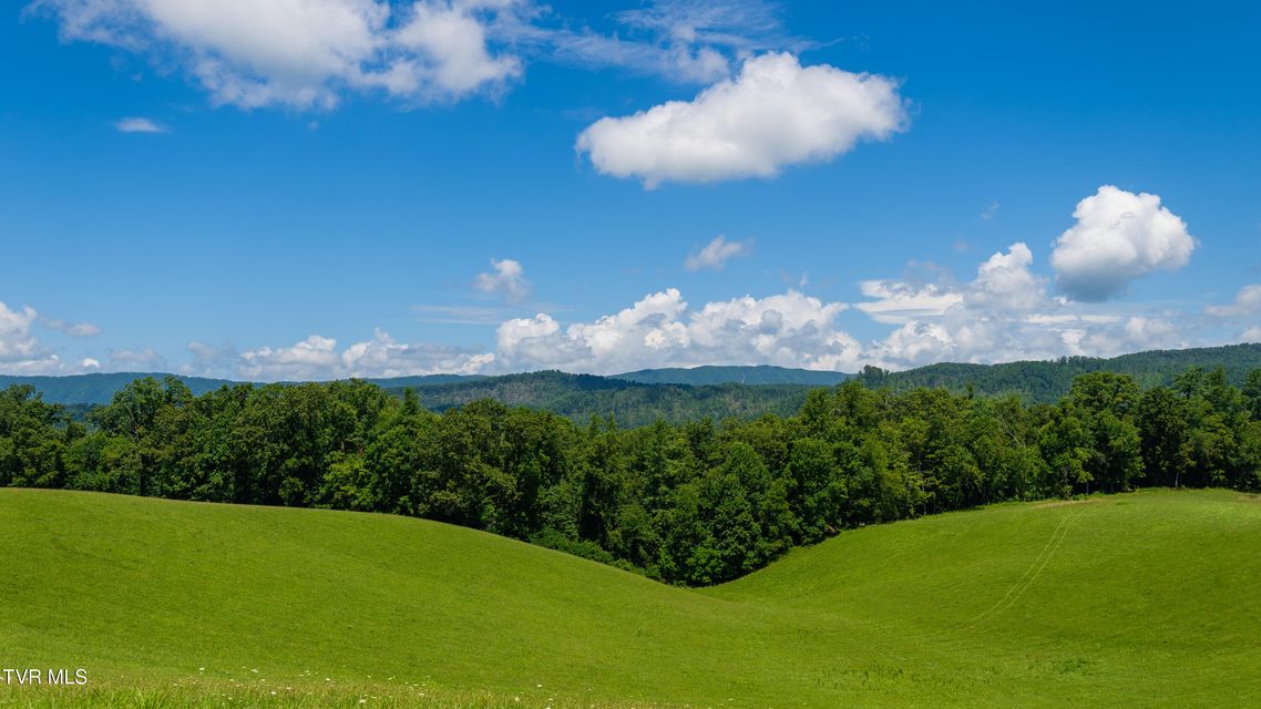 Photo #5: 0 Dry Hill Road